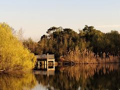 -苏州太湖国家湿地公园