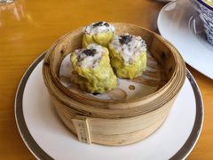 -广州富力君悦大酒店空中花园