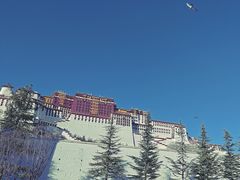 -布达拉宫