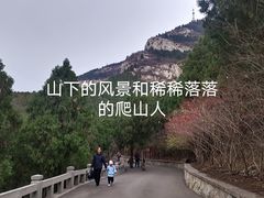 -佛慧山