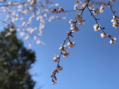 -北京凤凰岭