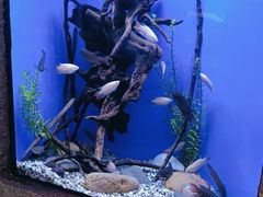 -上海海洋水族馆