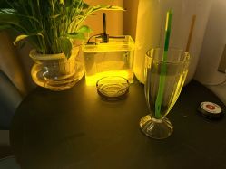 -An Ting岸汀·美容SPA