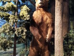 -陕西自然博物馆