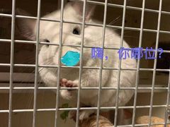 -钟鼎山庄