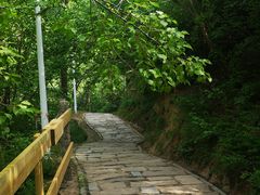 -大岭沟猕猴桃谷风景区