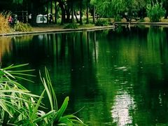 -上海共青森林公园