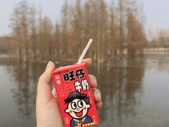 -白鹭湾湿地公园