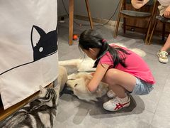 -咖法森林·咖啡  酒吧(天河店)