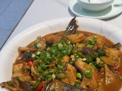 -全乐鱼馆·淳牌有机鱼直营店