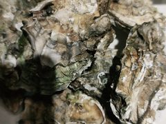 -星伦多自助料理(花山金鹰店)