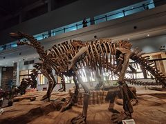 -自贡恐龙博物馆