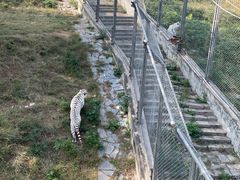 -石家庄市动物园