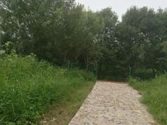 -淇河国家湿地公园