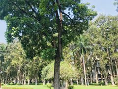 -广东外语外贸大学(白云山校区)