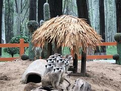 -北京野生动物园