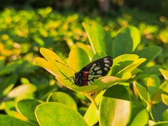 -厦门国家会计学院
