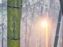 -莫干山风景区