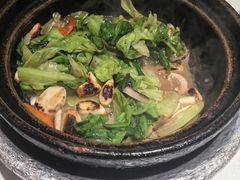 -煲煲好(朝阳门店)
