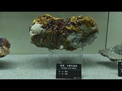 -甘肃地质博物馆