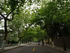 iphone_upload_pic-八大关景区