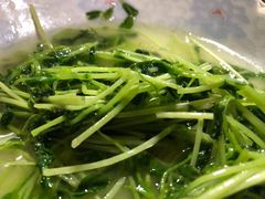 酒香豆苗-沈记菜馆(酒仙桥路店)