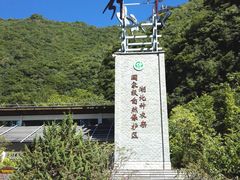 -大九湖