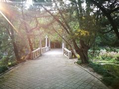 -叶家花园