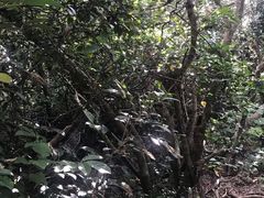 -鹅銮鼻灯塔
