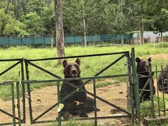 -秦皇岛野生动物园