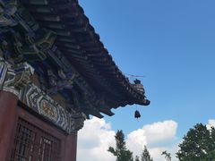 -洛阳白马寺