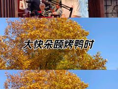 -金鼎轩(方庄天坛店)