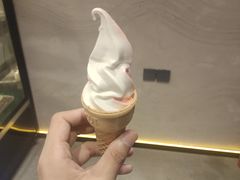 -6号瓦房露营烤场