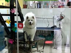 -酷狗靓猫宠物·洗护·美容·寄养(航北路店)
