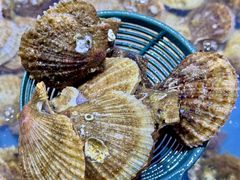 -聚盛源蒸汽海鲜火锅烤肉自助(巨川金海岸购物广场店)