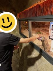 -酷嗒动物文化乐园(cutezoo西溪乐天城店)