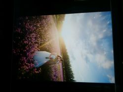 android_upload_pic-戛纳印象摄影(潮拍定制馆)