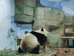 -无锡动物园·太湖欢乐园