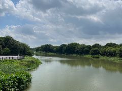 -海珠湖公园