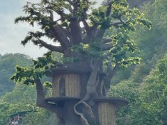 -爱情山风景区