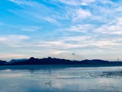 -深圳湾公园(南山区)