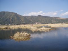 -腾冲北海湿地