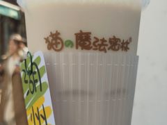 -猫的魔法密林(衣裳街店)