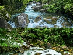 -大鄣山卧龙谷景区
