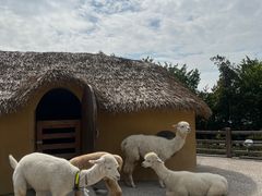 -珠海海泉湾神秘岛亲子乐园