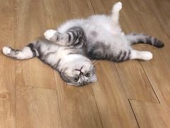 -海底捞火锅(海宁路店)