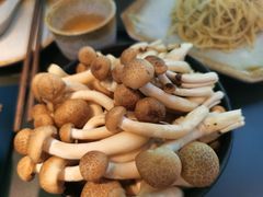 -新草堂锅物料理(泉城路店)