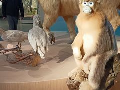 -陕西自然博物馆