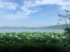 -湖畔居茶楼(湖滨店)