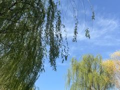 -河北省园博园